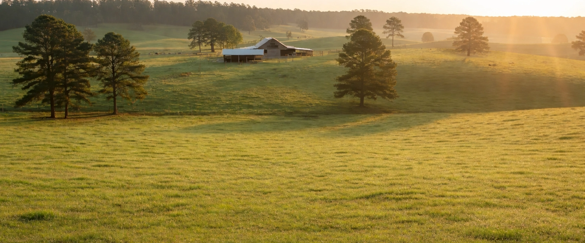 Cullman County Alabama Farm Fence